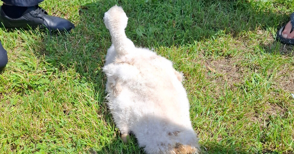 Zdroj: HZS Olomouckého kraje