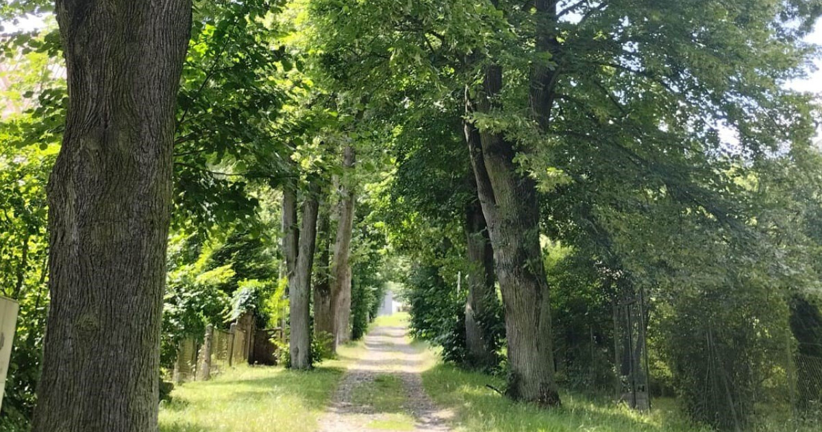 Zdroj: město Hranice na Moravě