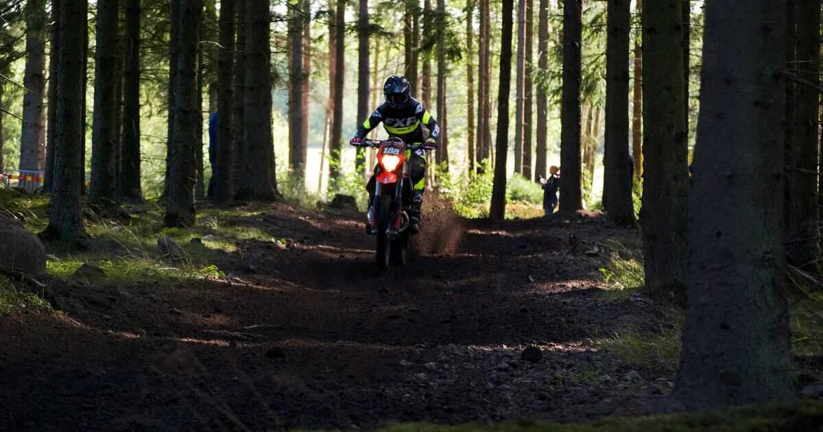 Ilustrační foto: pexels.com