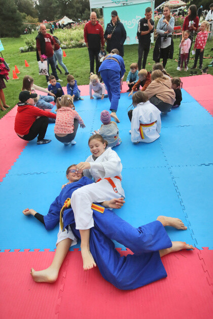 zdroj: Nadace Bezpečná Olomouc