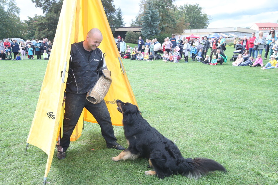 zdroj: Nadace Bezpečná Olomouc