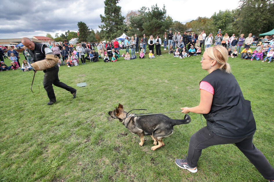 zdroj: Nadace Bezpečná Olomouc