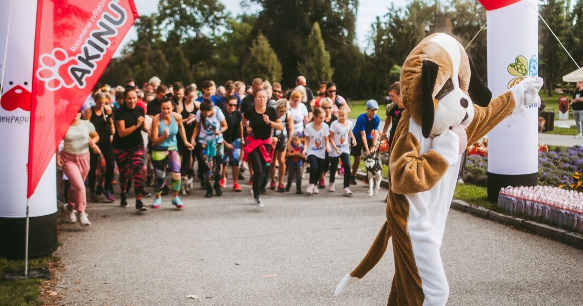 zdroj: Běh a pochod pro útulky