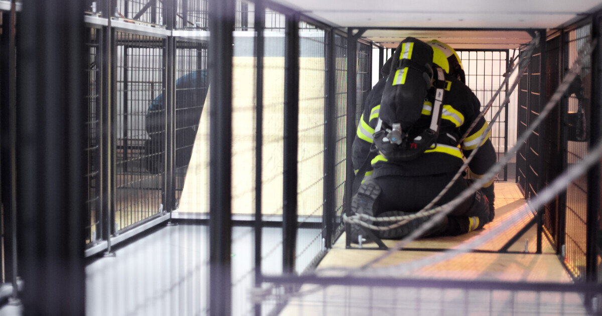 Foto: Report / Daniel Vachek