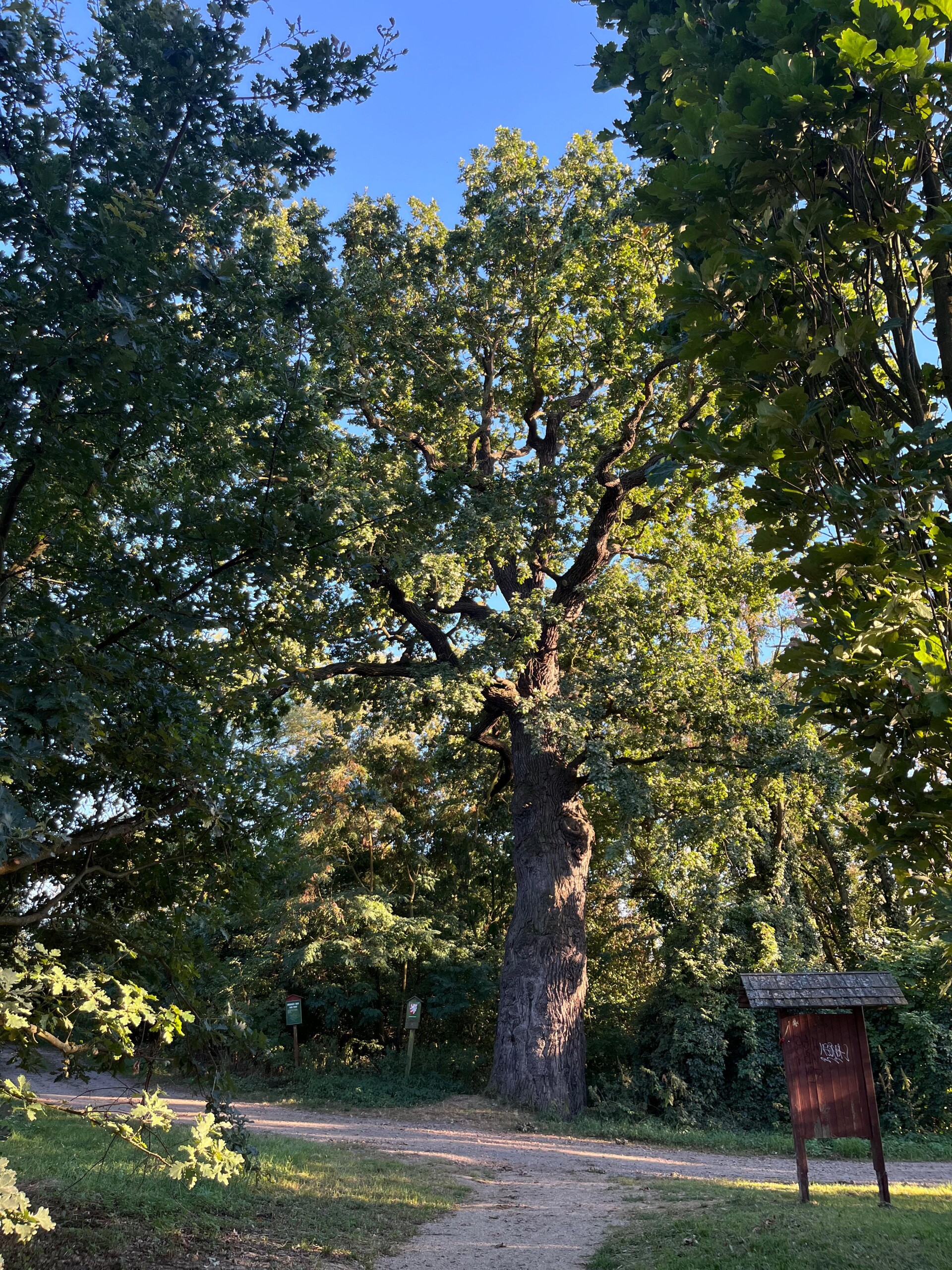 Cyklostezka z Olomouce do Štěpánova, foto: Report.cz