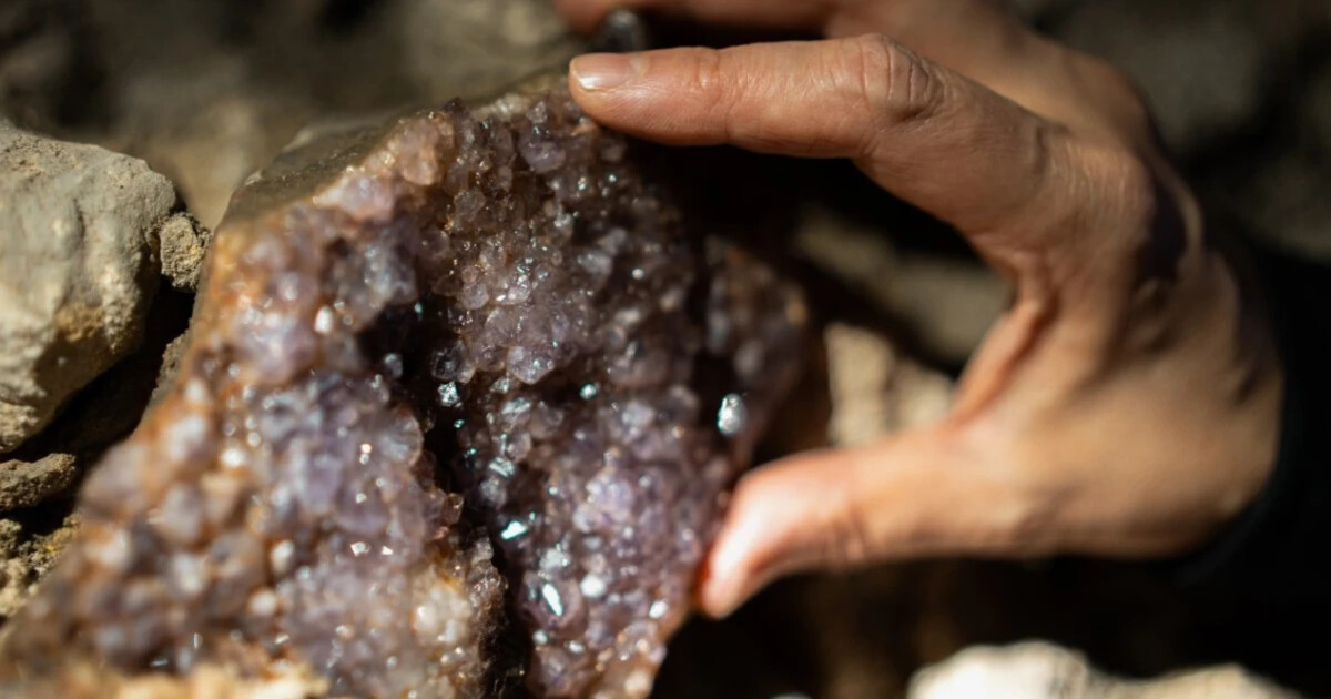 zdroj: Univerzita Palackého