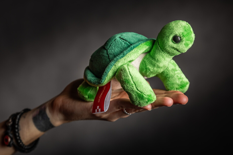 zdroj: město Olomouc