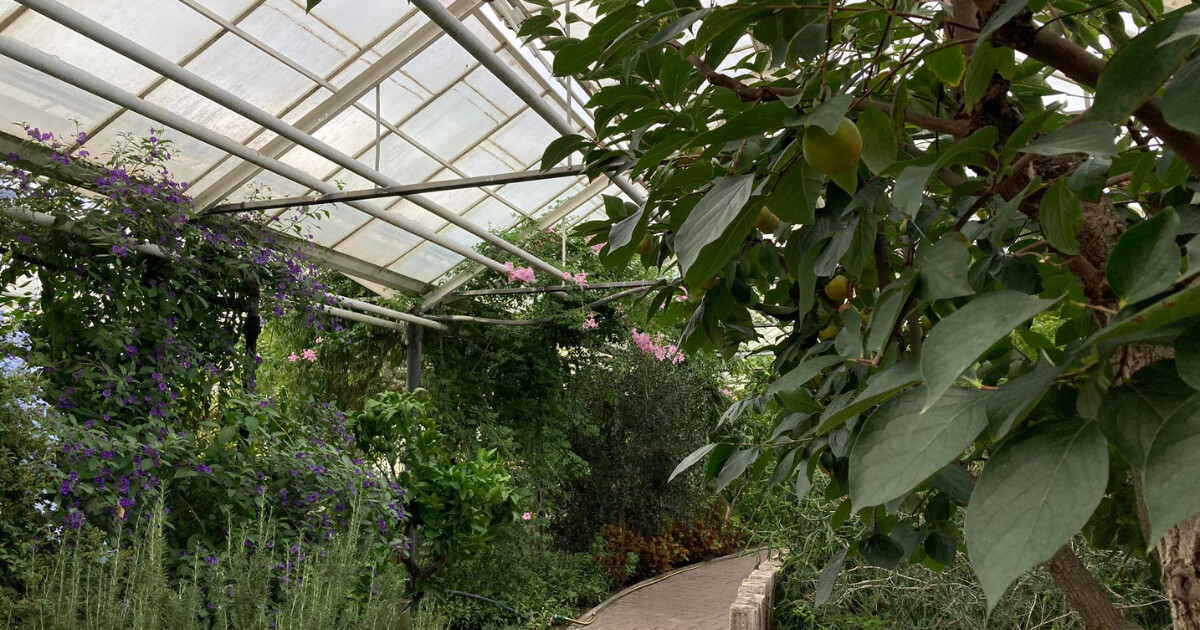 Jeden ze sbírkových skleníků, zdroj: Olomoucký Report