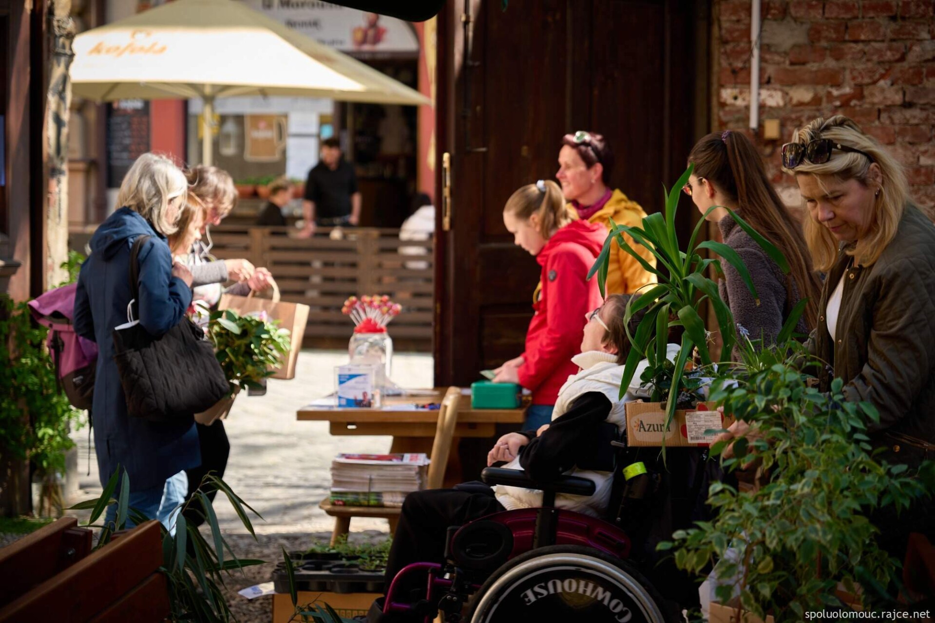 zdroj: SPOLU Olomouc