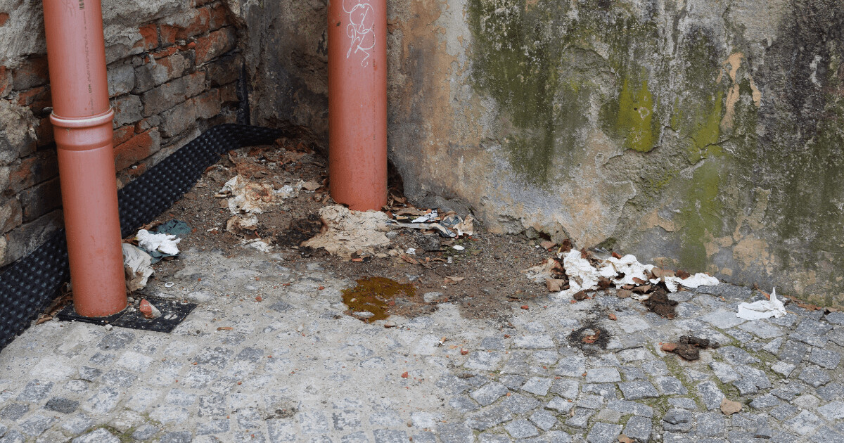 Exkrementy v ulici Akademická, zdroj: Olomoucký report