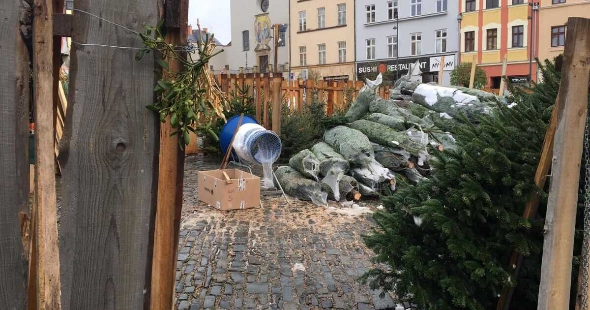 Zdroj: Olomoucký Report 