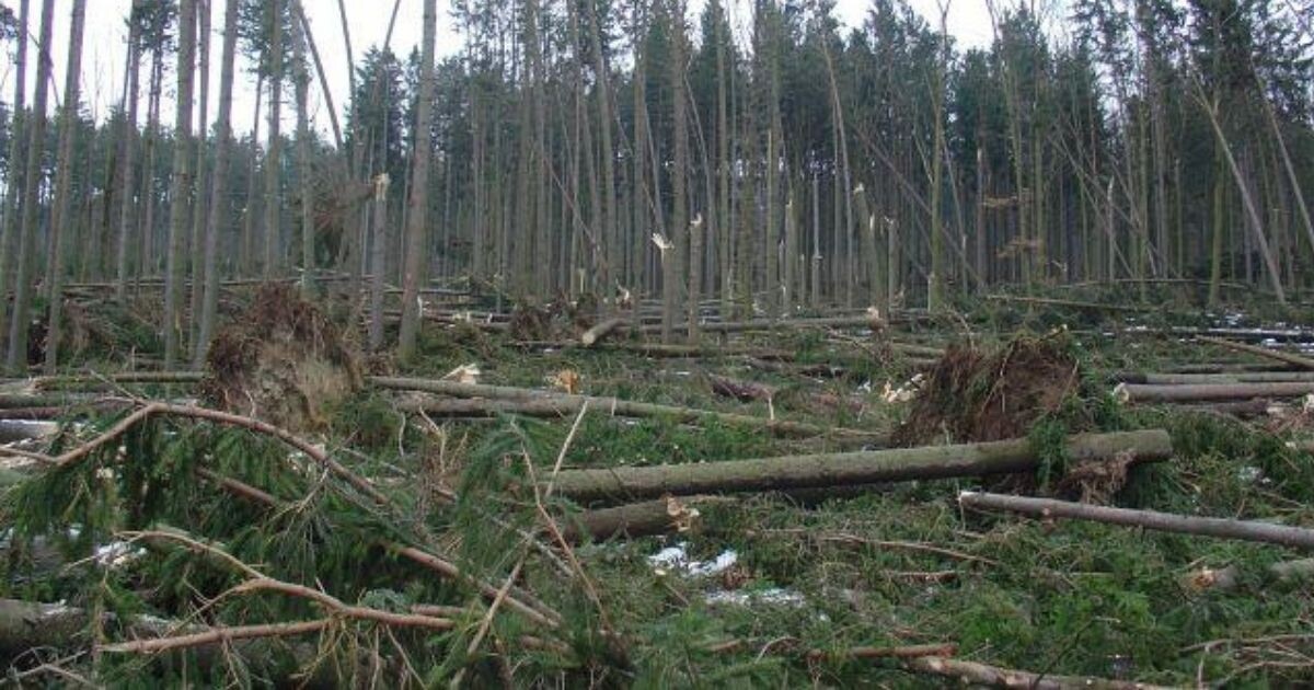 Zdroj: Plzeňský krja 