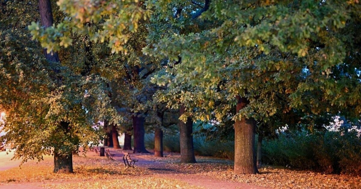 Zdroj: Prostějov.eu