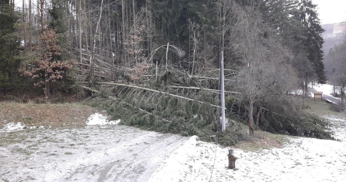 Zdroj: ado.cz