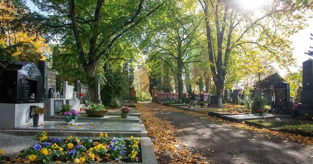 Ilustrační foto: Příroda ve městě