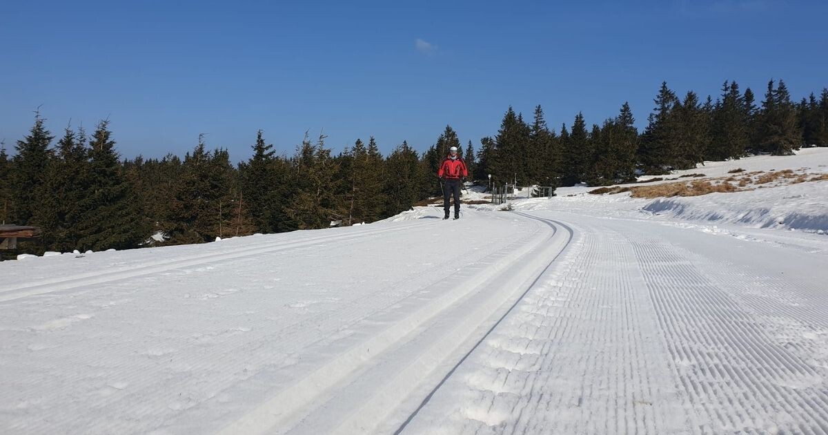 Ilustrační foto, zdroj: Skiareál Praděd - Figura 
