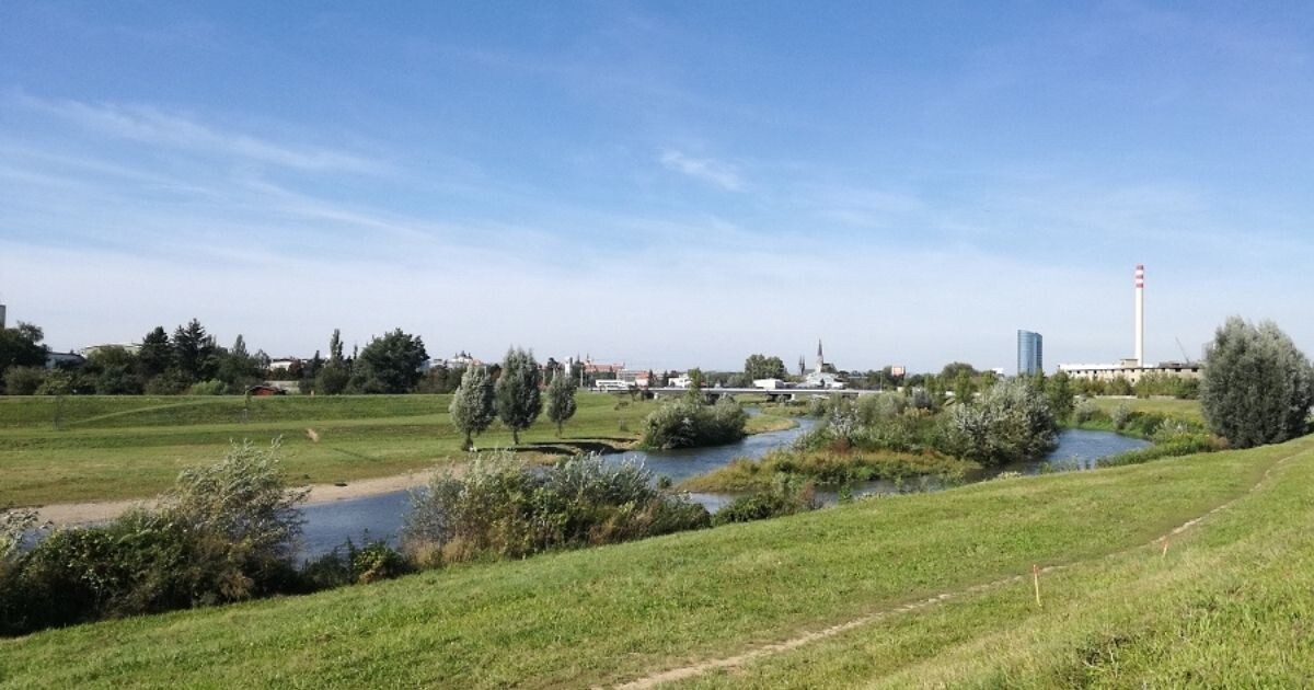 Zdroj: Příroda ve městě 