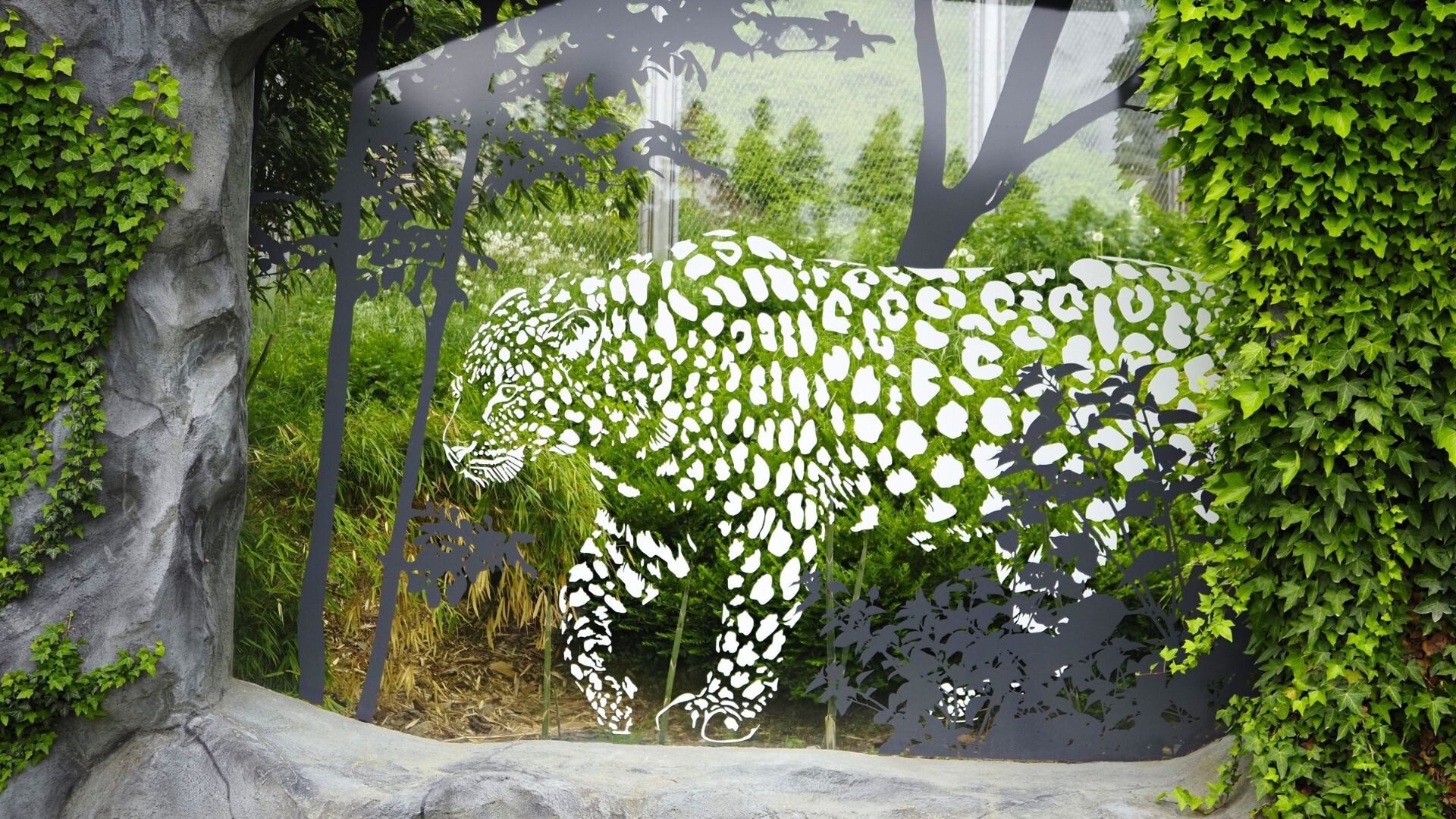 Zdroj: Zoo Olomouc