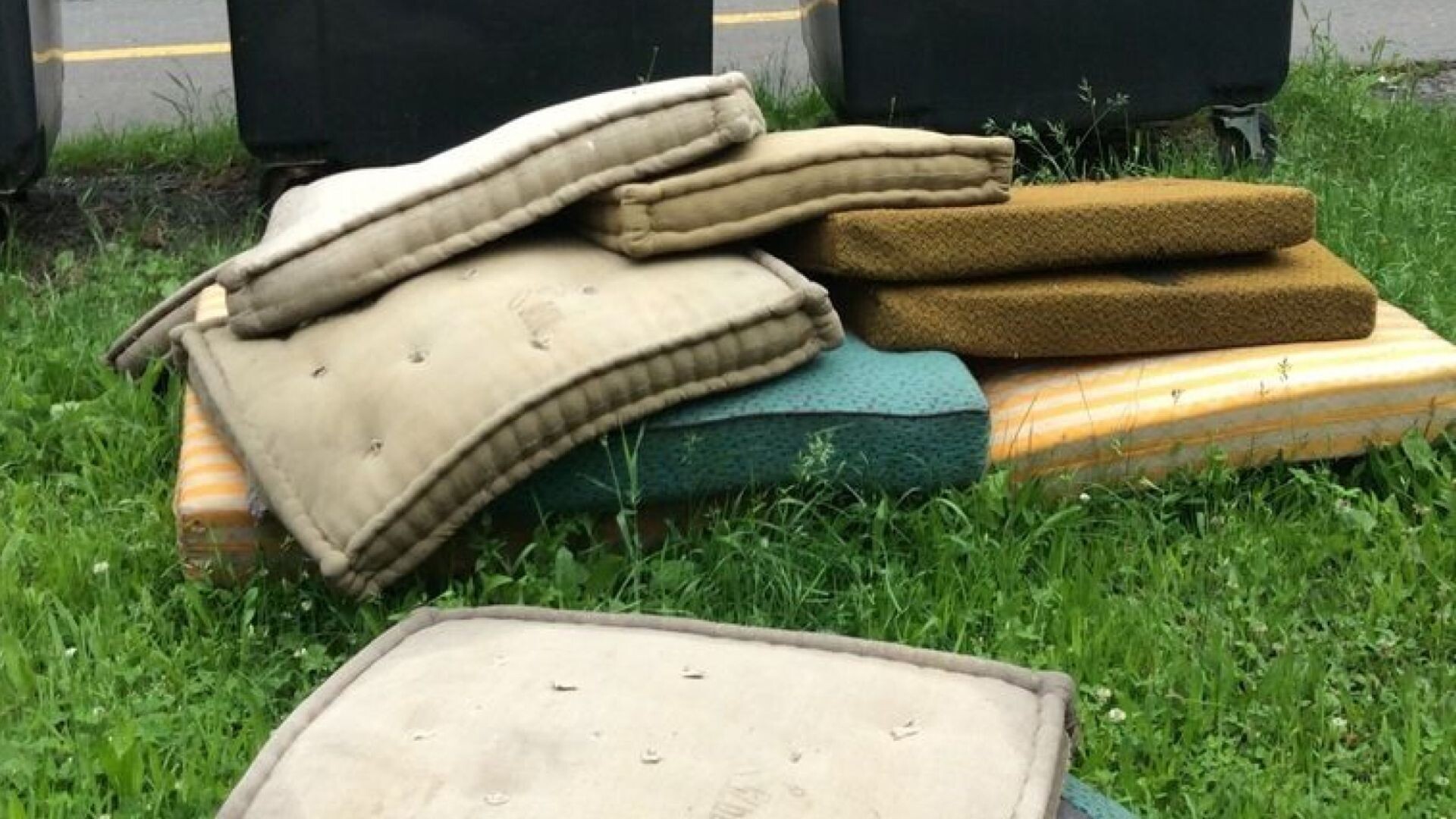 Zdroj: Městská policie Olomouc 