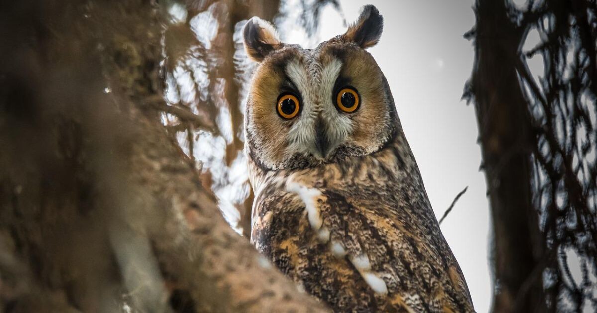 Zdroj: Pixabay.com