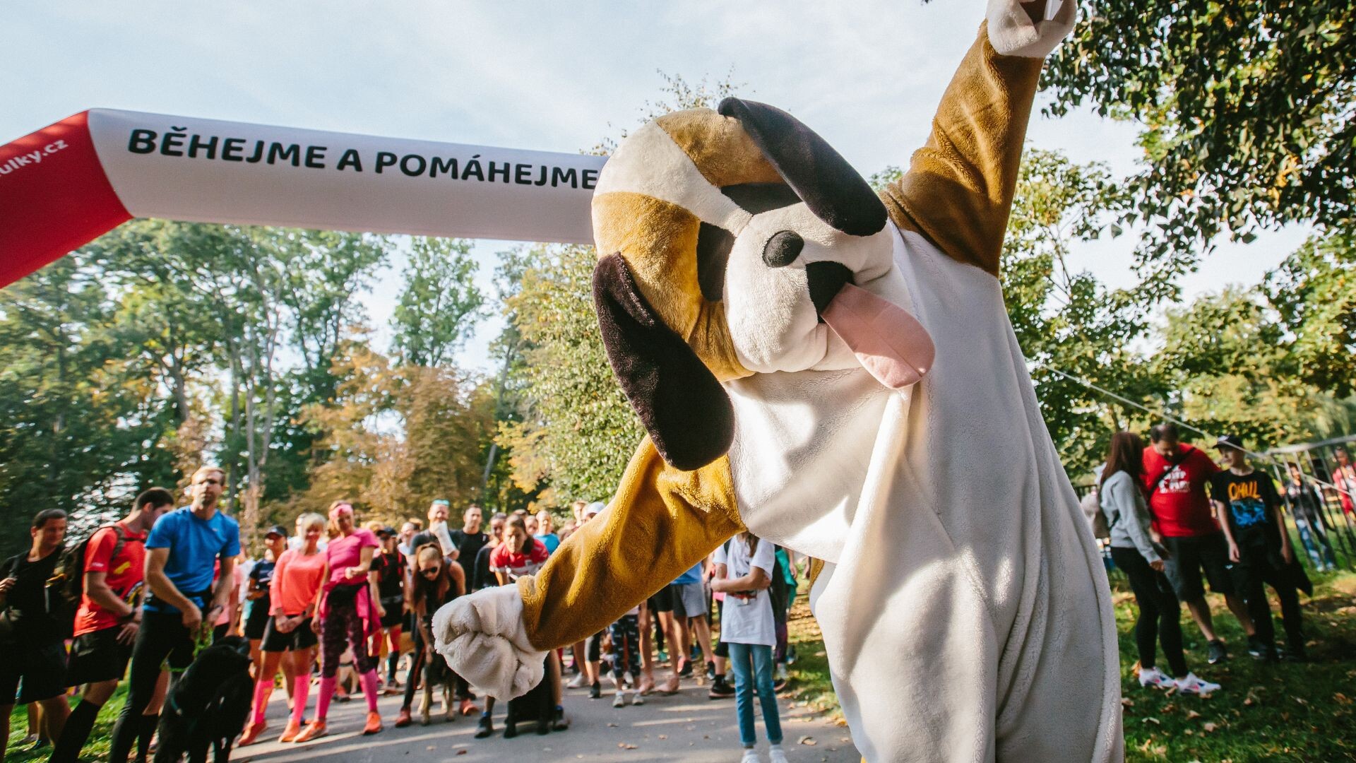 Zdroj: Běhejme a pomáhejme útulkům