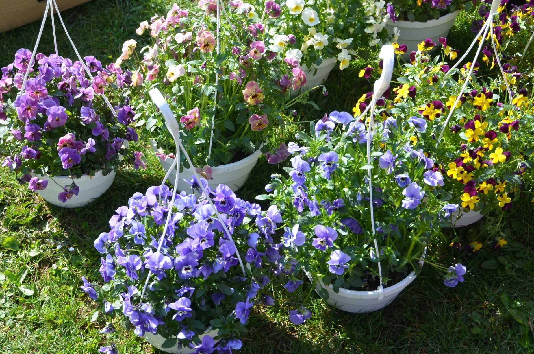 Foto: Výstaviště Flora Olomouc