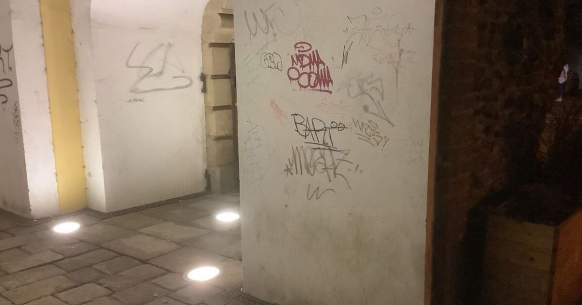 Zdroj: Městská policie Olomouc 