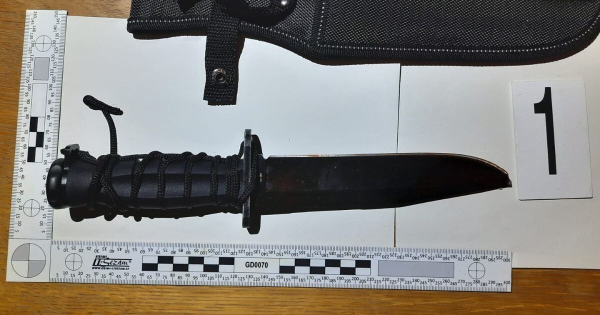 Zdroj: Policie ČR