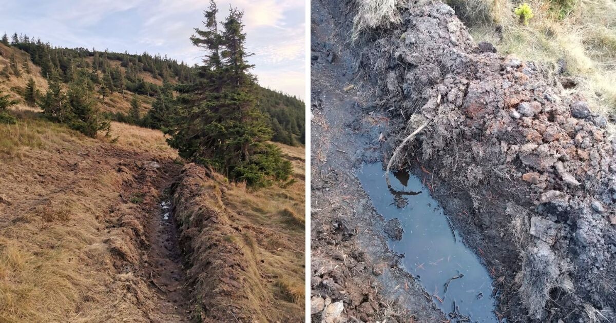 Zdroj: Zdroj: Společnost přátel Jeseníků, z.s.