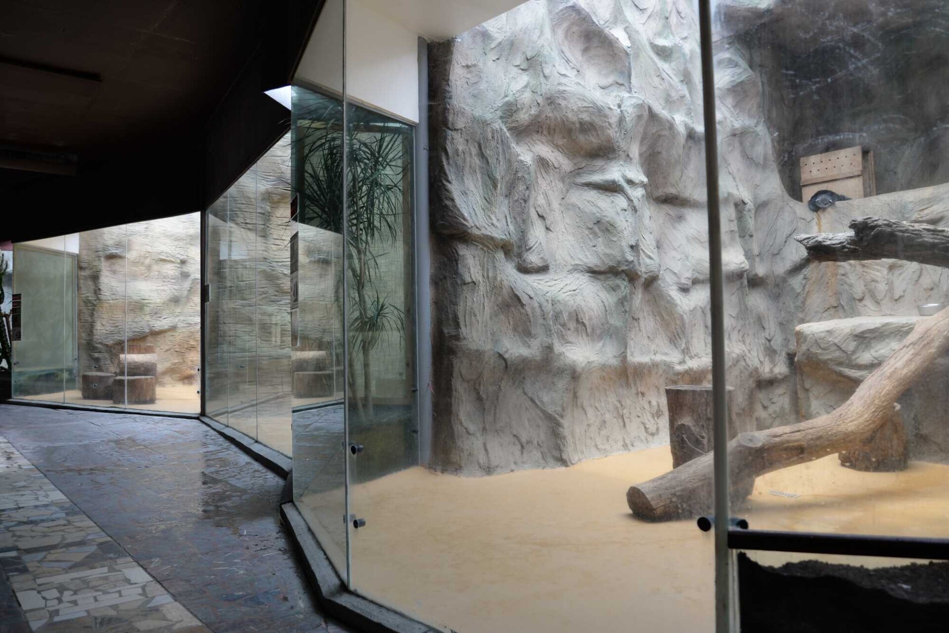 zdroj: Zoo Olomouc