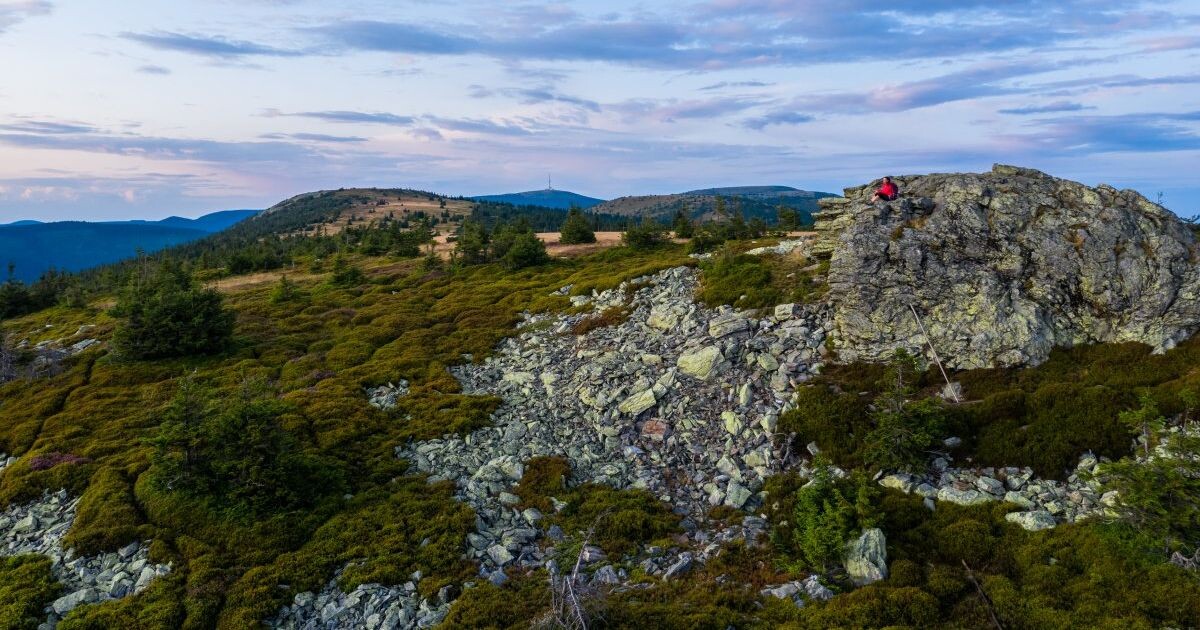 Zdroj: Olomoucký kraj 