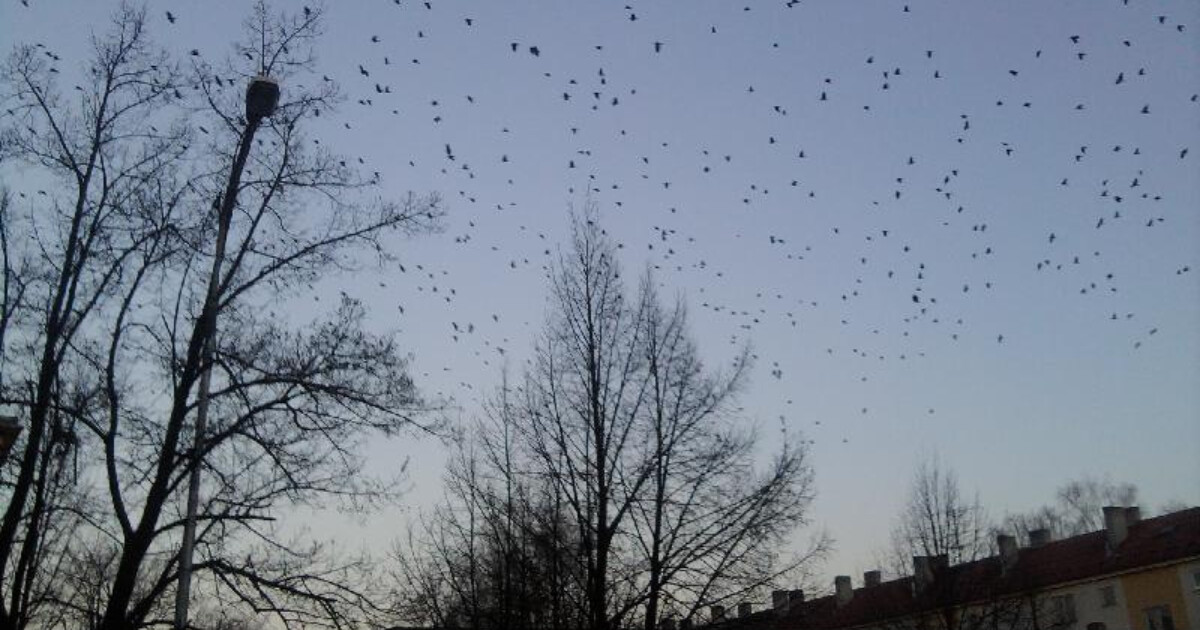 zdroj: město Přerov