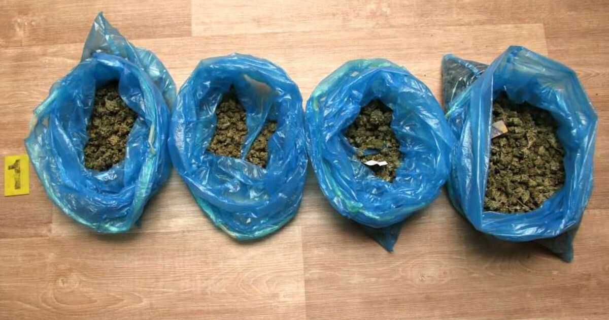 Zdroj: Policie ČR 