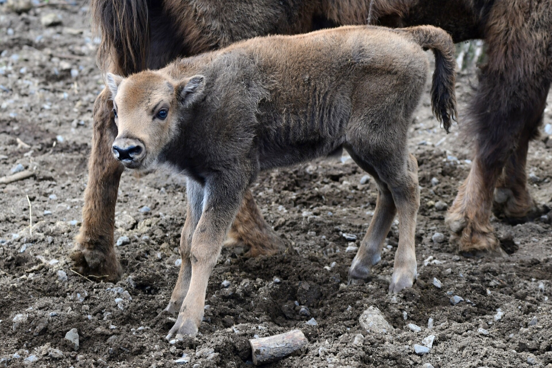 Foto: Zoo Olomouc
