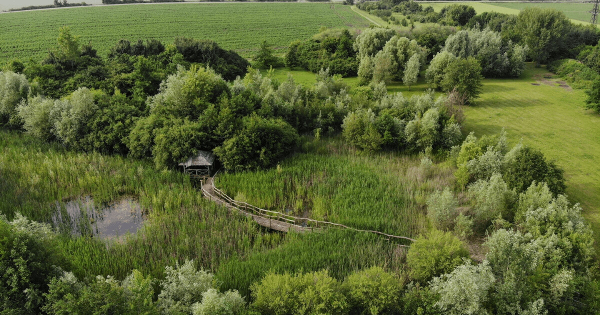 Foto: Obec Mořice