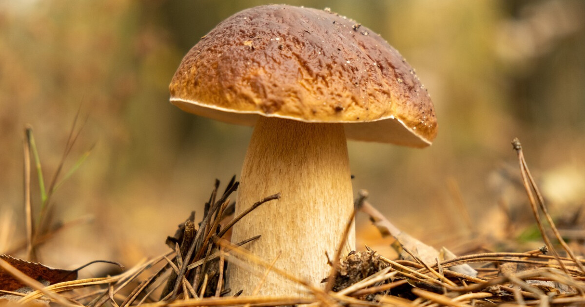 zdroj: ČHMÚ