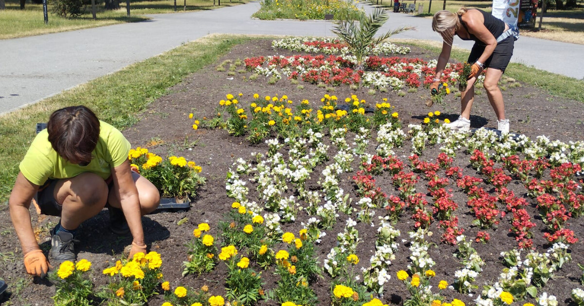 zdroj: Zuzana Chalupová, Výstaviště Flora Olomouc 