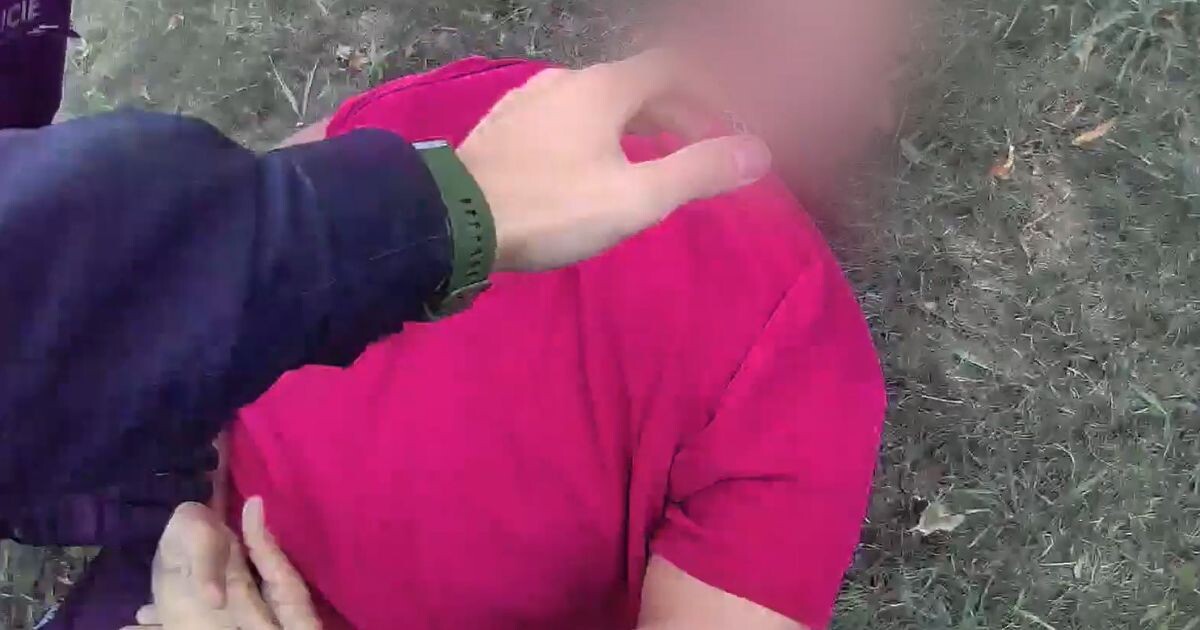 Zdroj: Celní správá ČR 