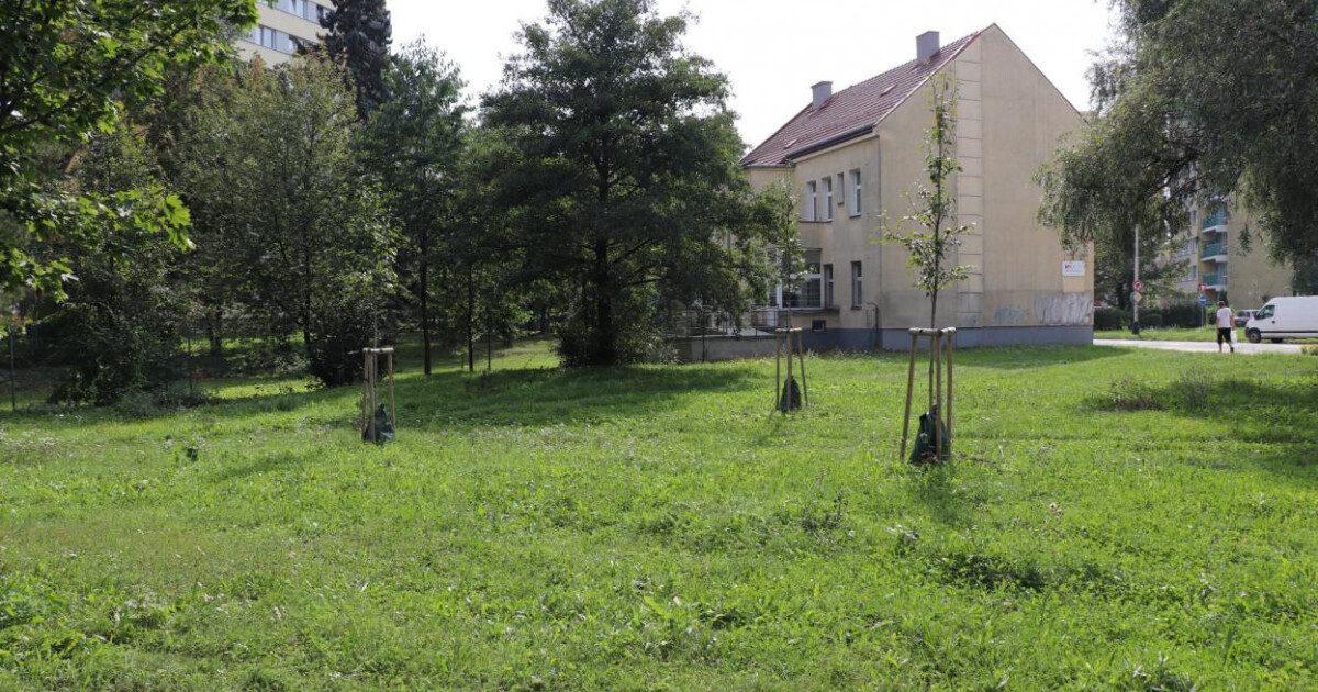 U budovy pobočky Městské knihovny v Přerově – směrem do ulice Sokolská – se začne v příštím roce budovat dešťová zahrada. Zdroj: město Přerov