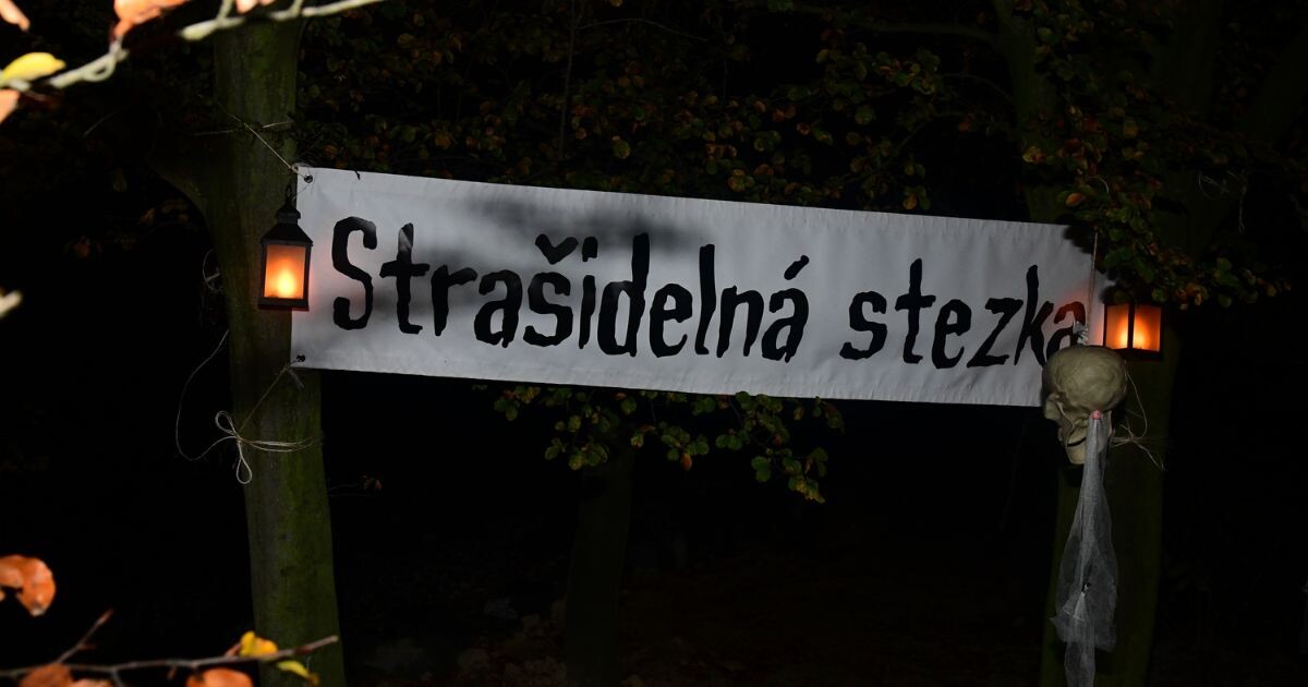 Zdroj: Zoo Olomouc