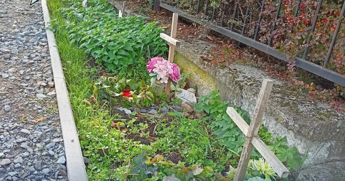 zdroj: Město Přerov