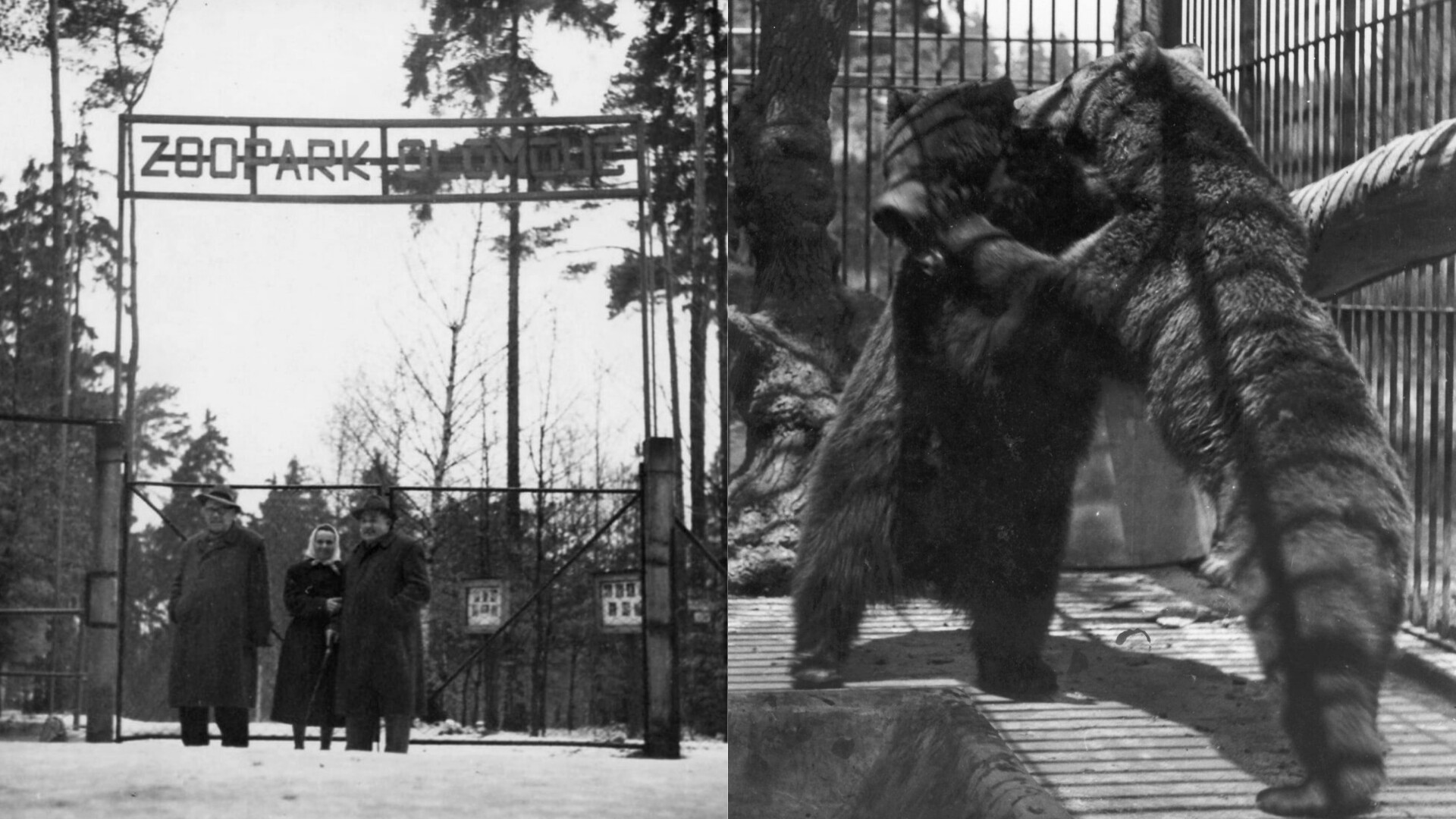 Foto: Zoo Olomouc