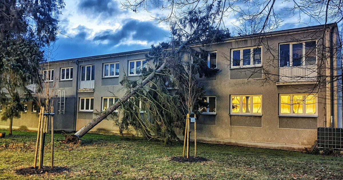 zdroj: HZS