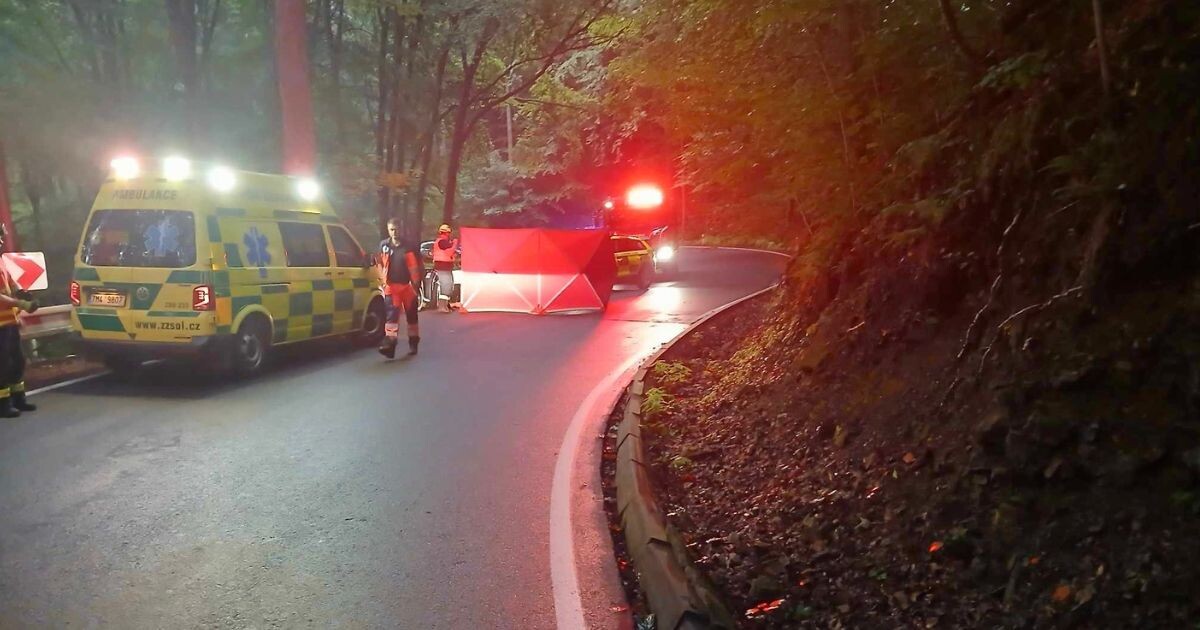 Zdroj: Zdravotnická záchranná služba
