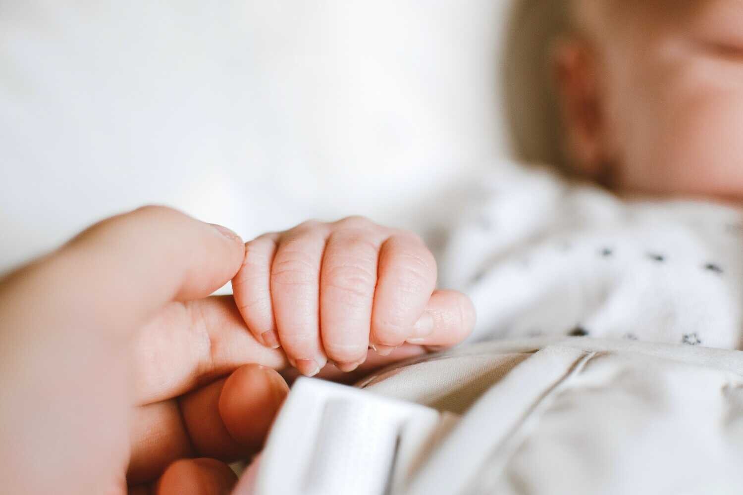 Ilustrační foto: pexels.com