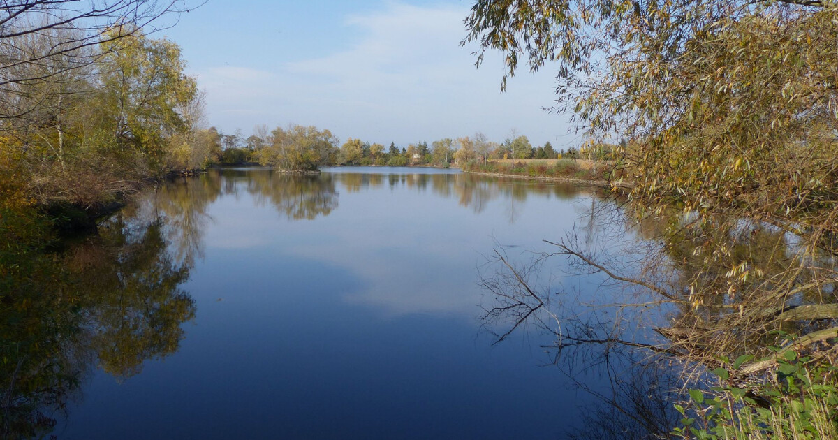 Pískovna Želechovice u Uničova. Zdroj: Mapy.cz