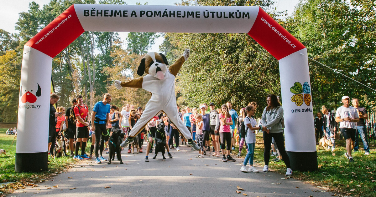 Zdroj: Běhejme a pomáhejme útulkům