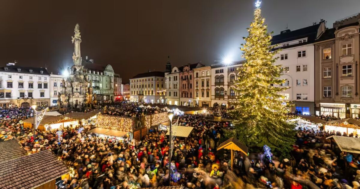 Zdroj: Město Olomouc