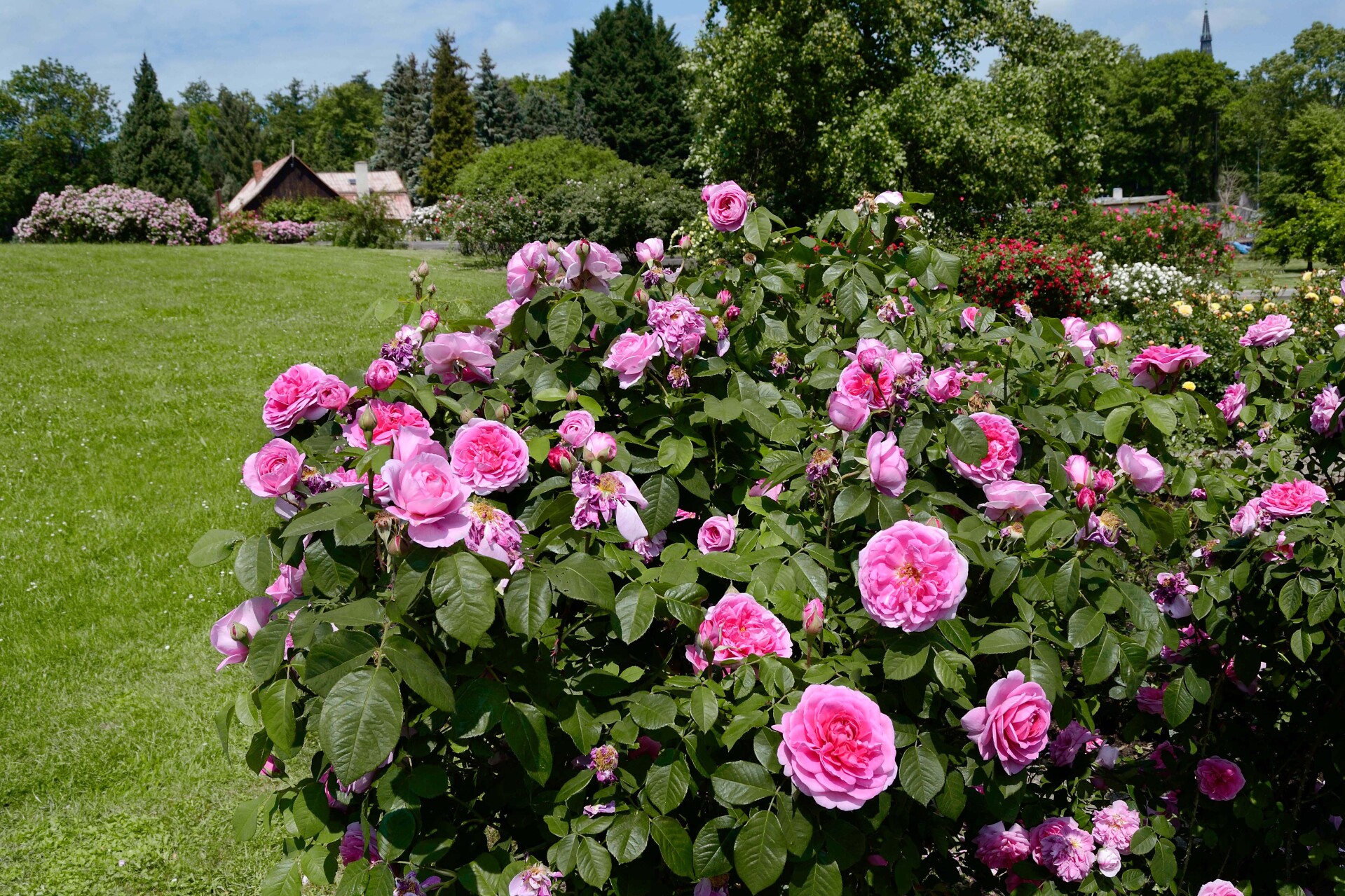 Foto: Výstaviště Flora Olomouc