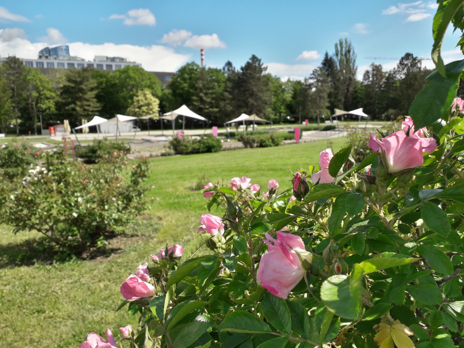 Foto: Výstaviště Flora Olomouc